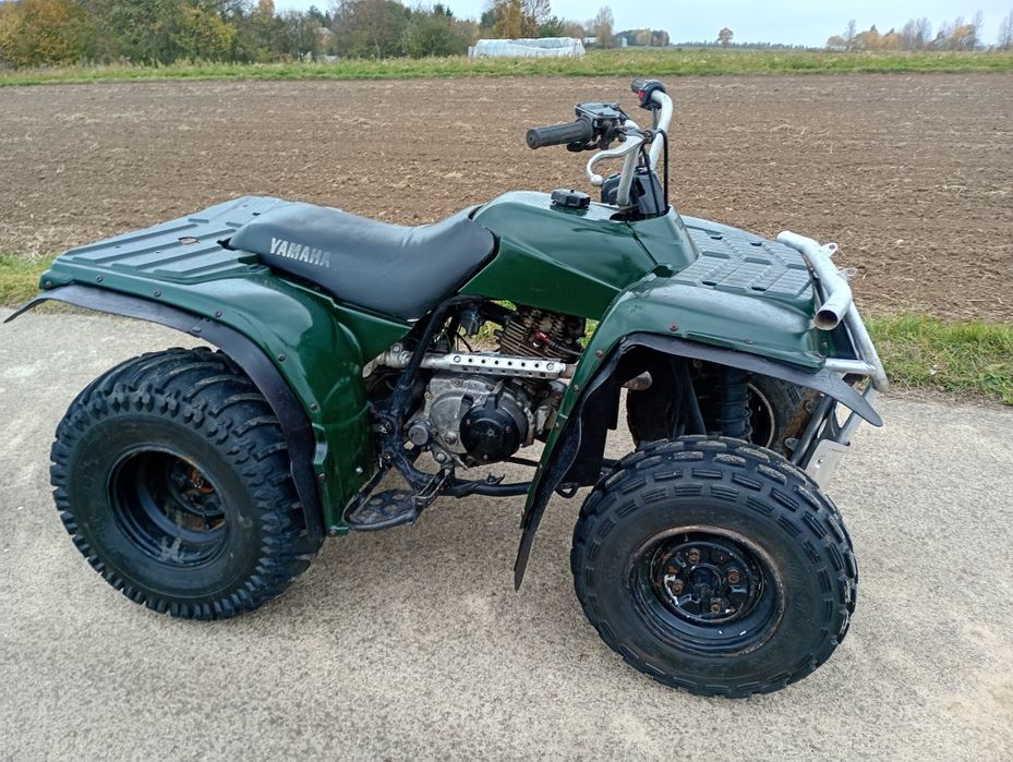 Quad Yamaha twimberwolf 250