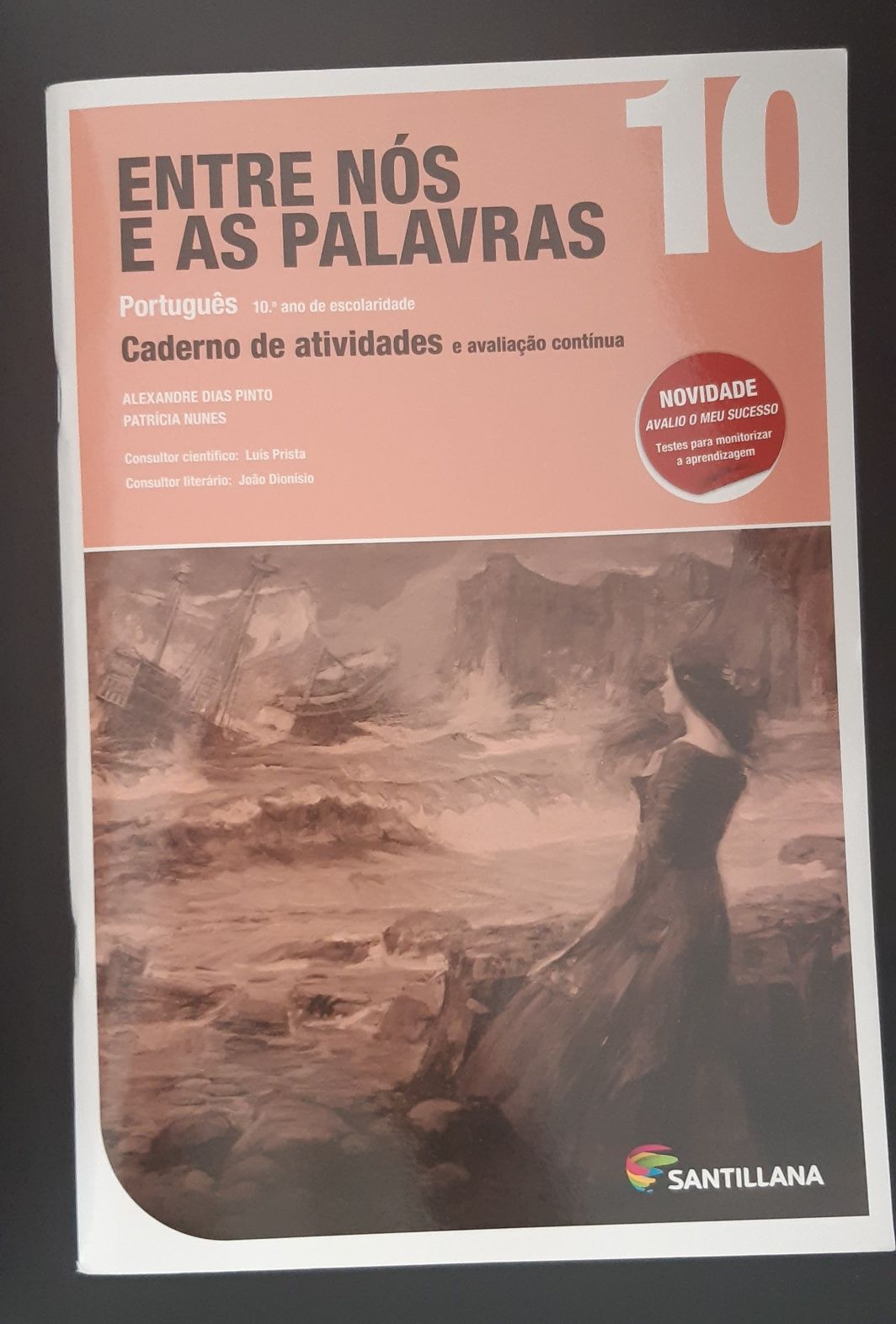 Cadernos de atividades escolares 10 e 11