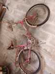 Bicicleta Orbita