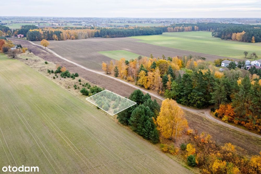 Działka budowlana bezpośrednio przy lesie