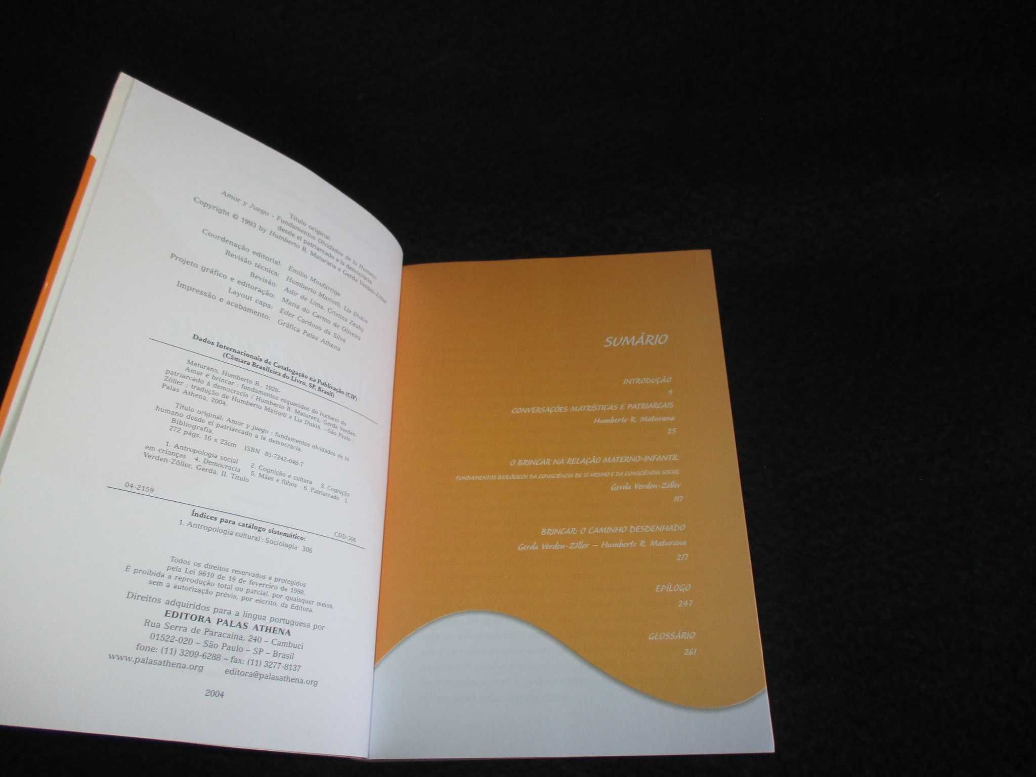 Livro Amar e Brincar Fundamentos esquecidos do humano