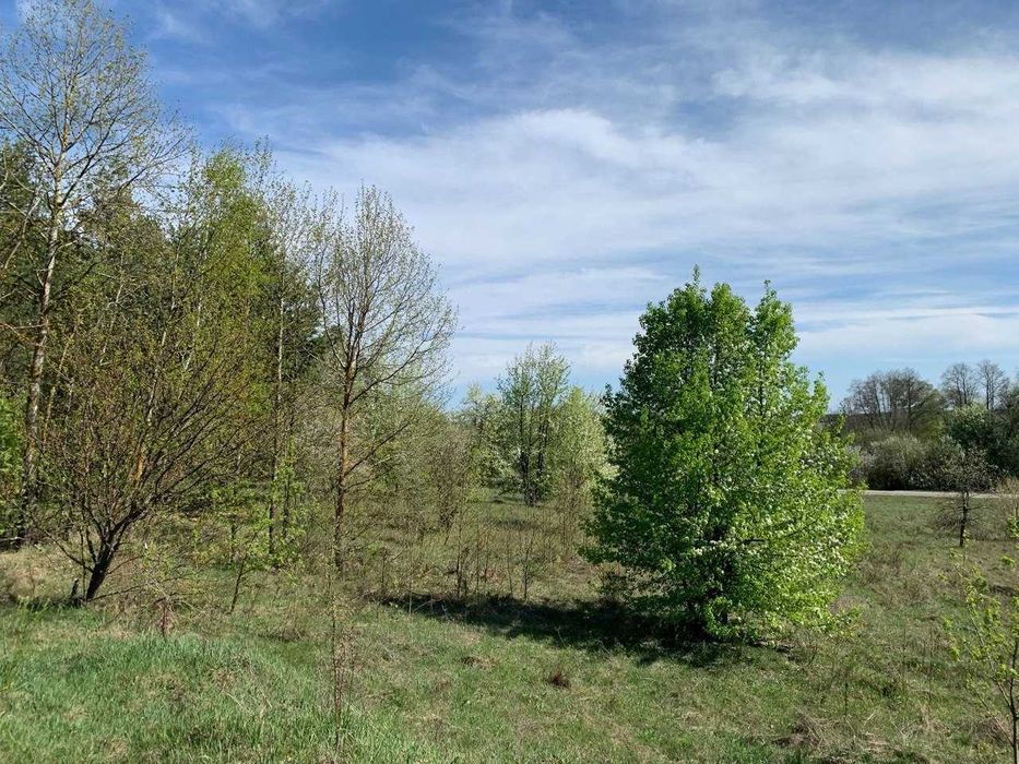 Земля під базу від починку біля озера в Лісовичах! Комунікації поруч