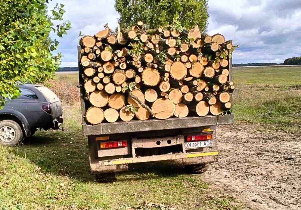 Дрова паливні • ЛІСГОСП Ясен рубаний дліна 21-25см ,мелкий покол.