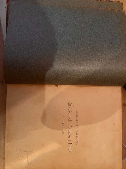 Album biograficzne zasłużonych Polaków i Polek wieku XIX