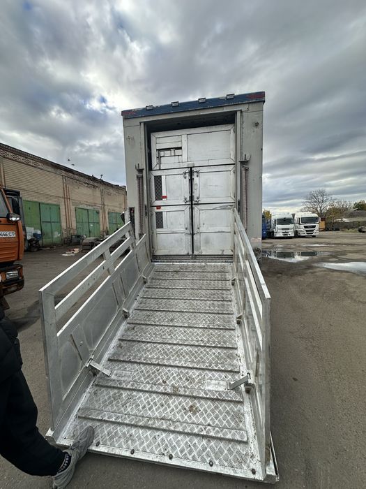 Перевезення свиней, поросят і овець.