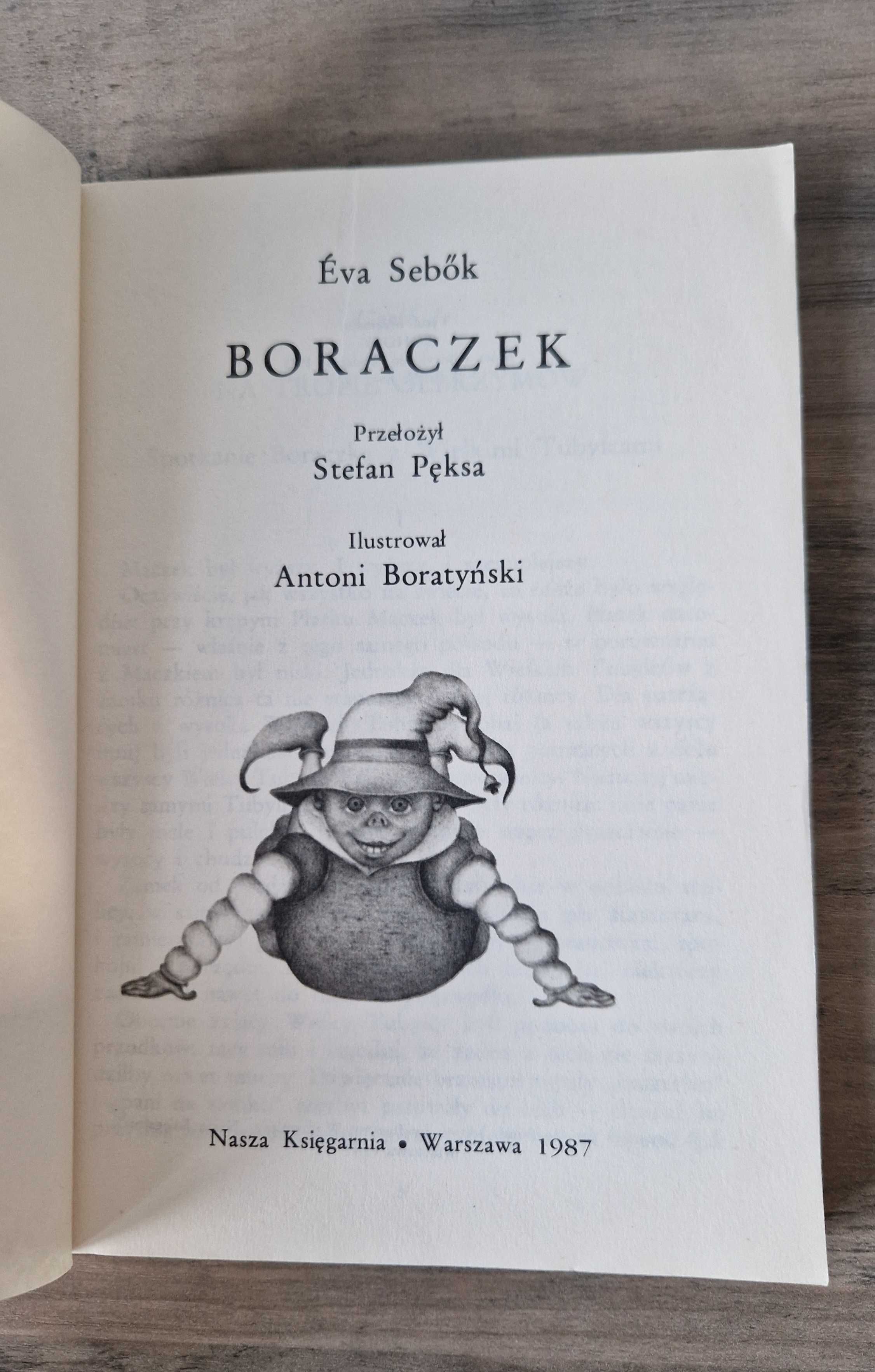 Boraczek Eva Sebok