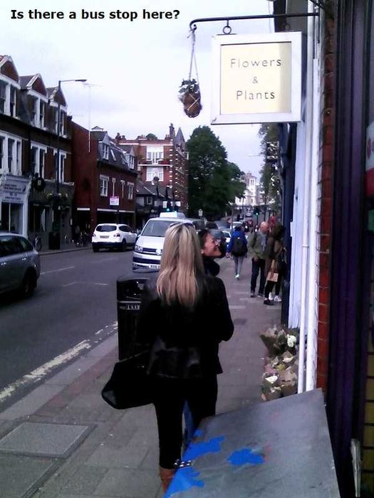 Aulas INGLÊS & PORTUGUÊS - curso online /Portuguese & English Classes