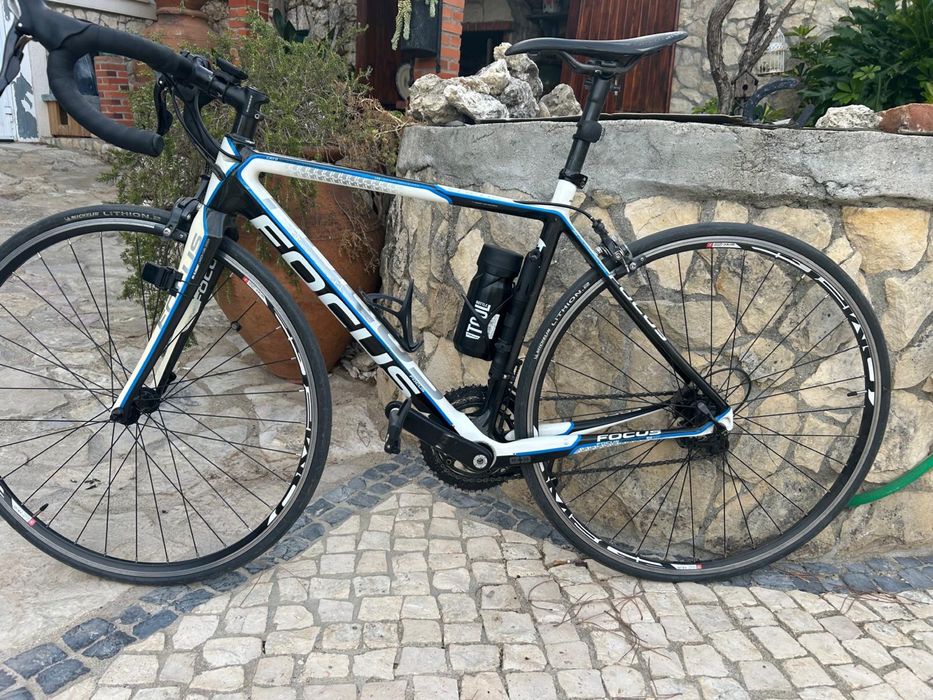 Bicicleta focus cayo carbono