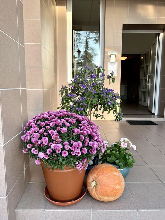 Pokoje nad morzem w Dziwnówku