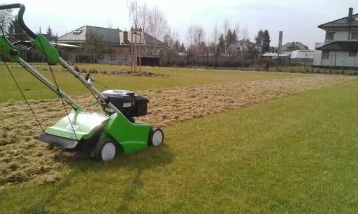 Wycinanie drzew glebogryzarka separacyjna Legnica Polkowice strzegom