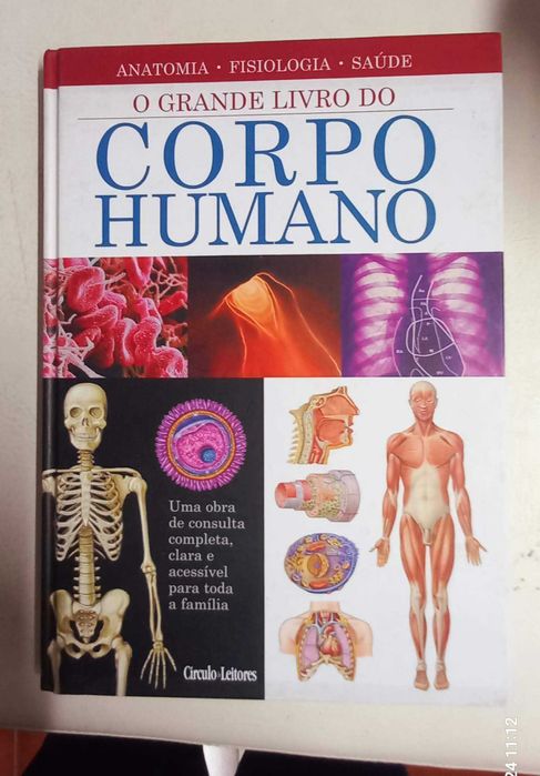 O Desenvolvimento Psicológico da Criança e Psicologia para todos