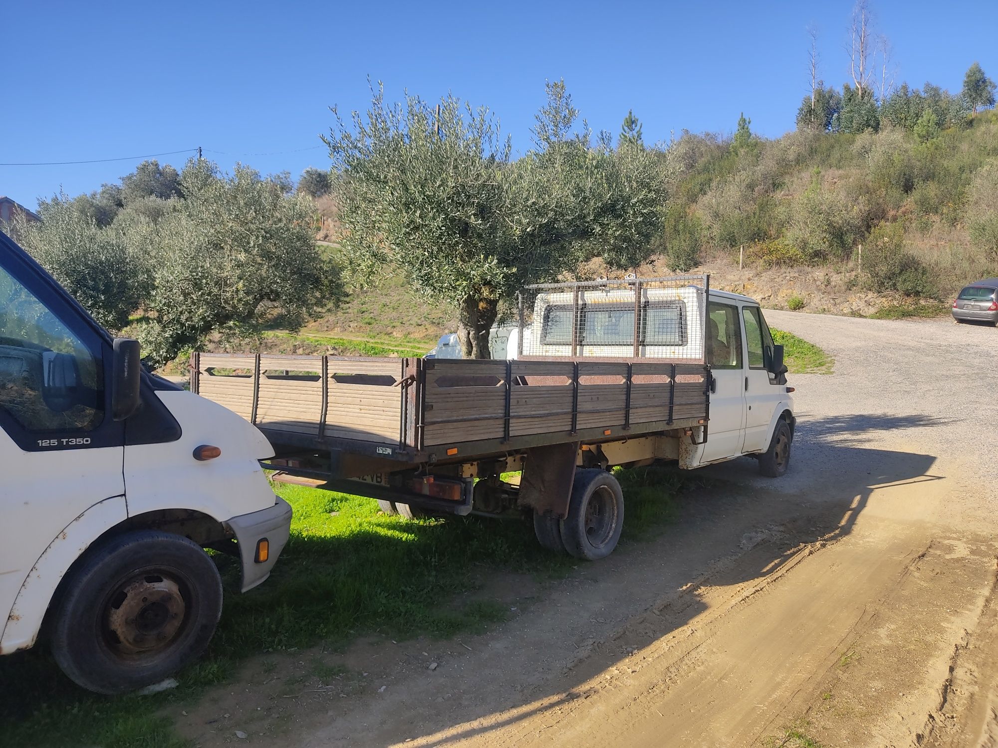 Ford trânsit 125 t350