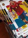 Karty Panini Euro 2012