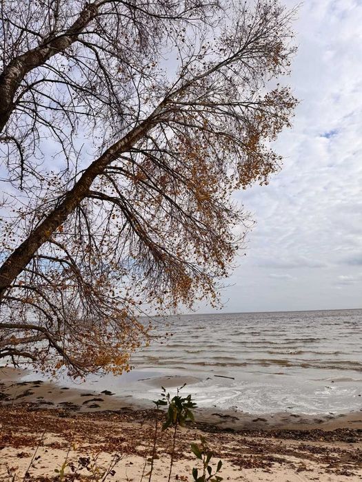 Продаж будинку на березі Київського моря, Козаровичи без %