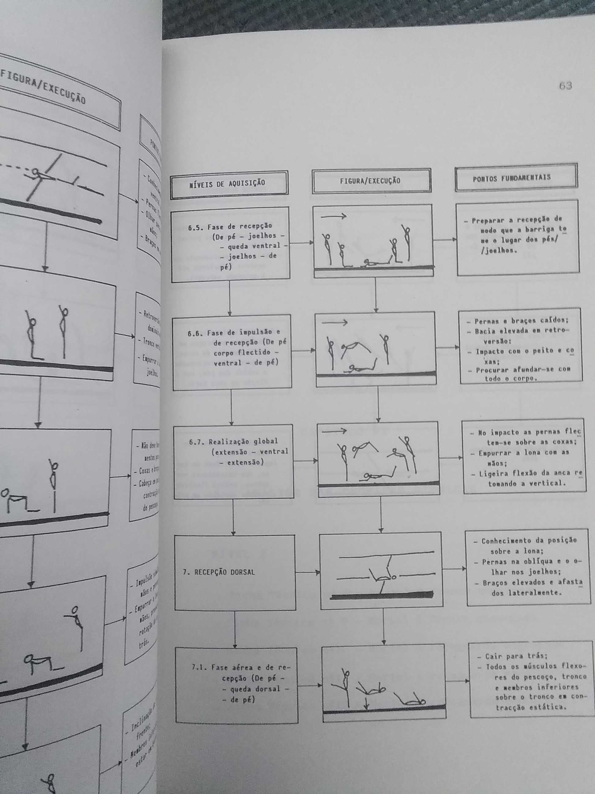 Trampolins Elásticos - Sistematização da Aprendizagem de César Peixoto