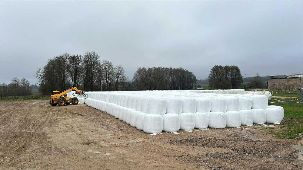 Kiszonka z kukurydzy w belach