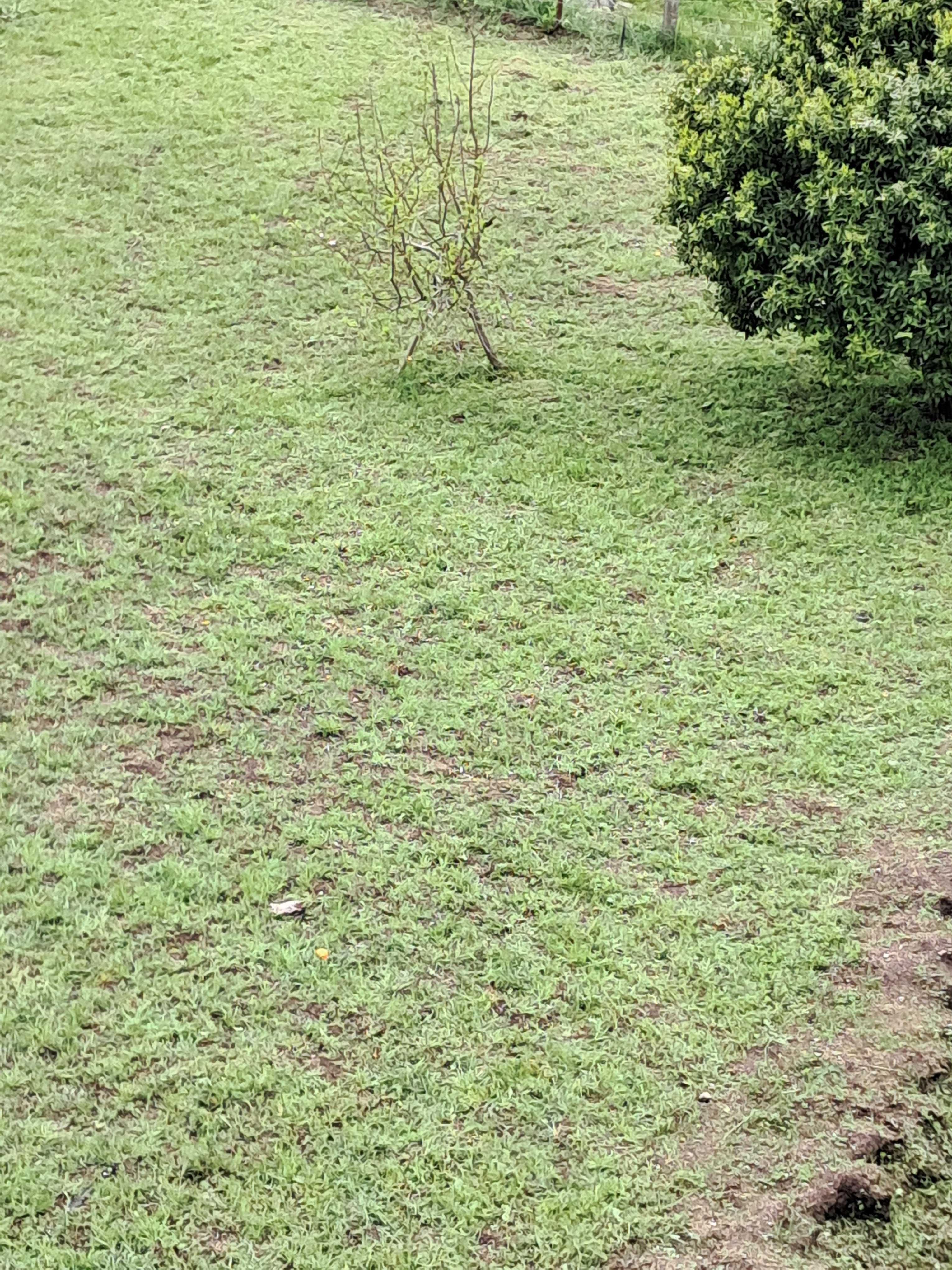 Obras, ,limpeza de terrenos ,preparacao de casas,todos os serviços