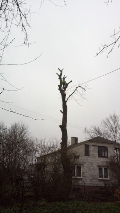 Wycinka drzew ,podnosnik koszowy zwyżka ,łupanie drewna