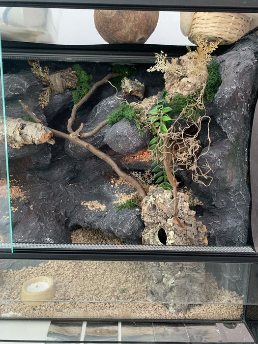 Terrarium 80x40x45