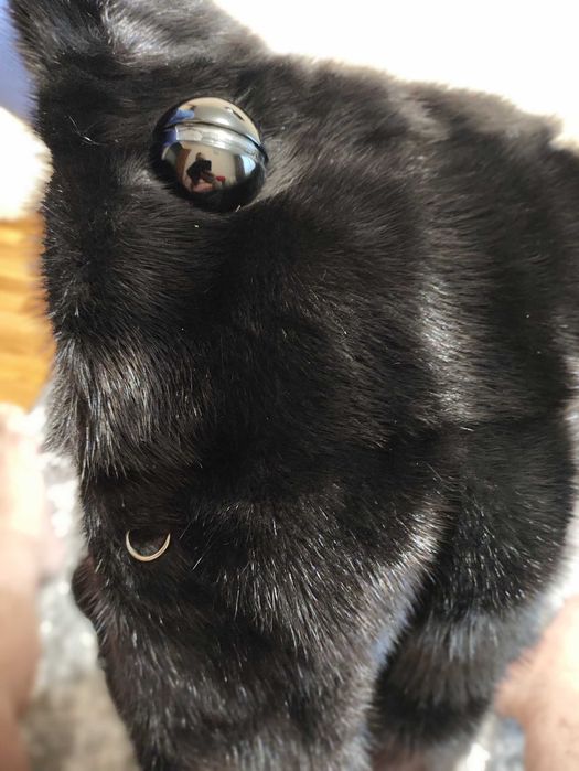 Продам норкову шубу