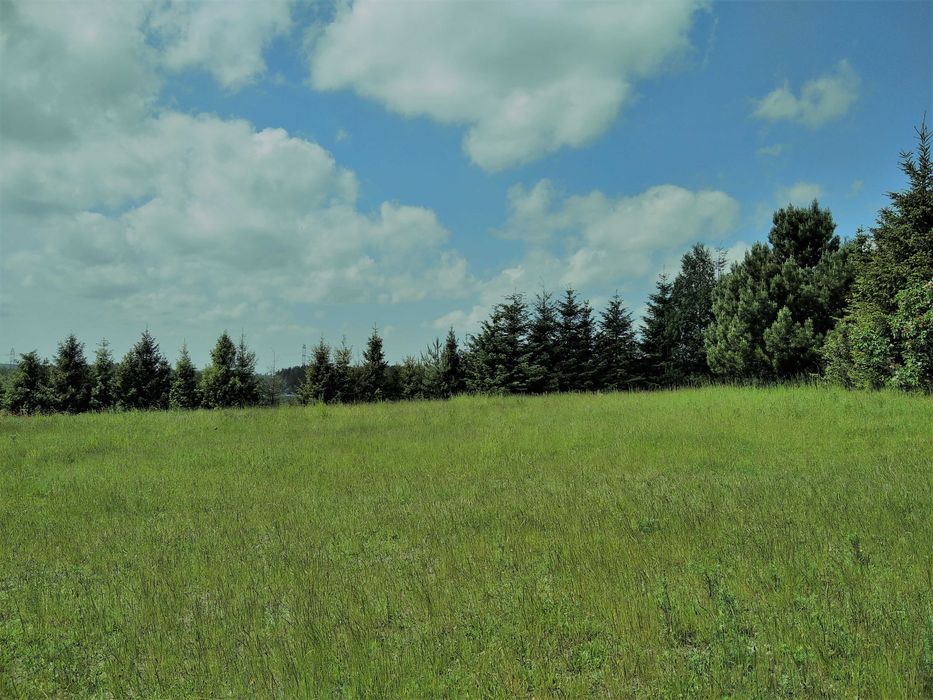 Sprzedam działkę 1000 m².