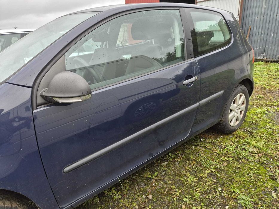 Volkswagen Golf V 1.9 TDI BLS, rok 2007, kolor (A5G D3).