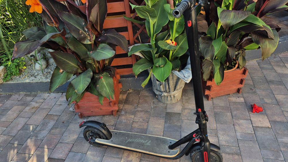 Chulajnoga Elektryczna FRUGAL IMPULSE