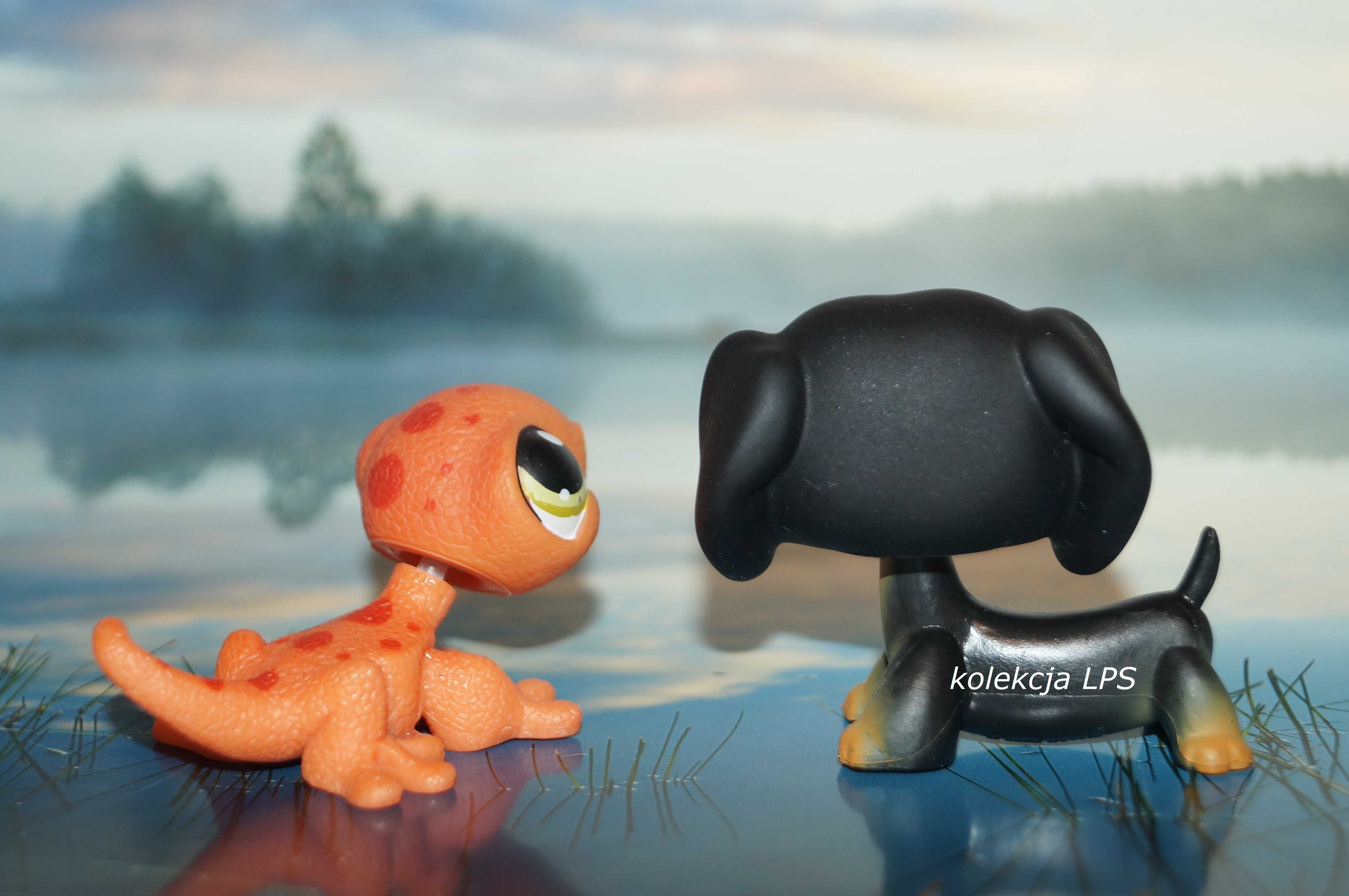 LPS Littlest Pet Shop jamnik #325 gekon #326 oryginalny pop oryginał