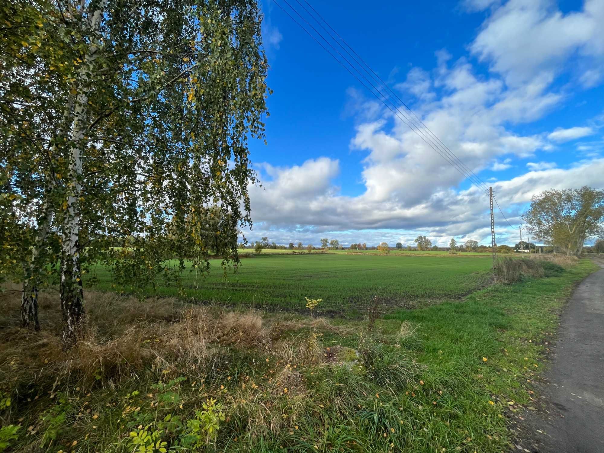 Wyspa Wolin - Korzęcin -Międzywodzie ,całość 1,9 ha.