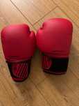 Luvas de Boxe, Artes Marcias