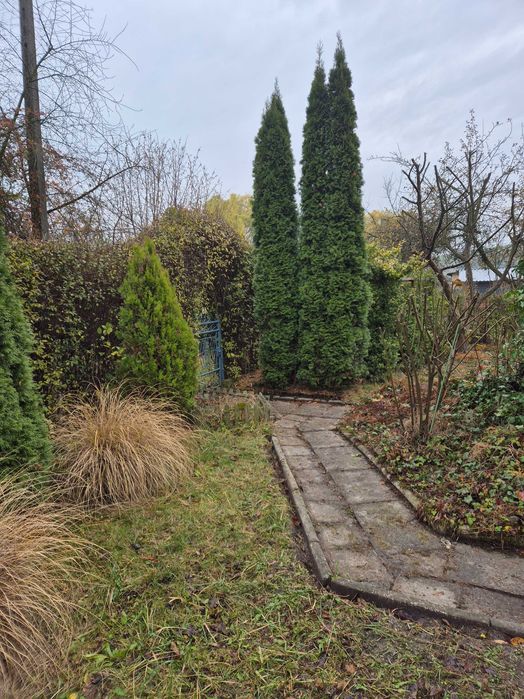 Sprzedam ogródek działkowy ROD Słoneczne w Zabrzu