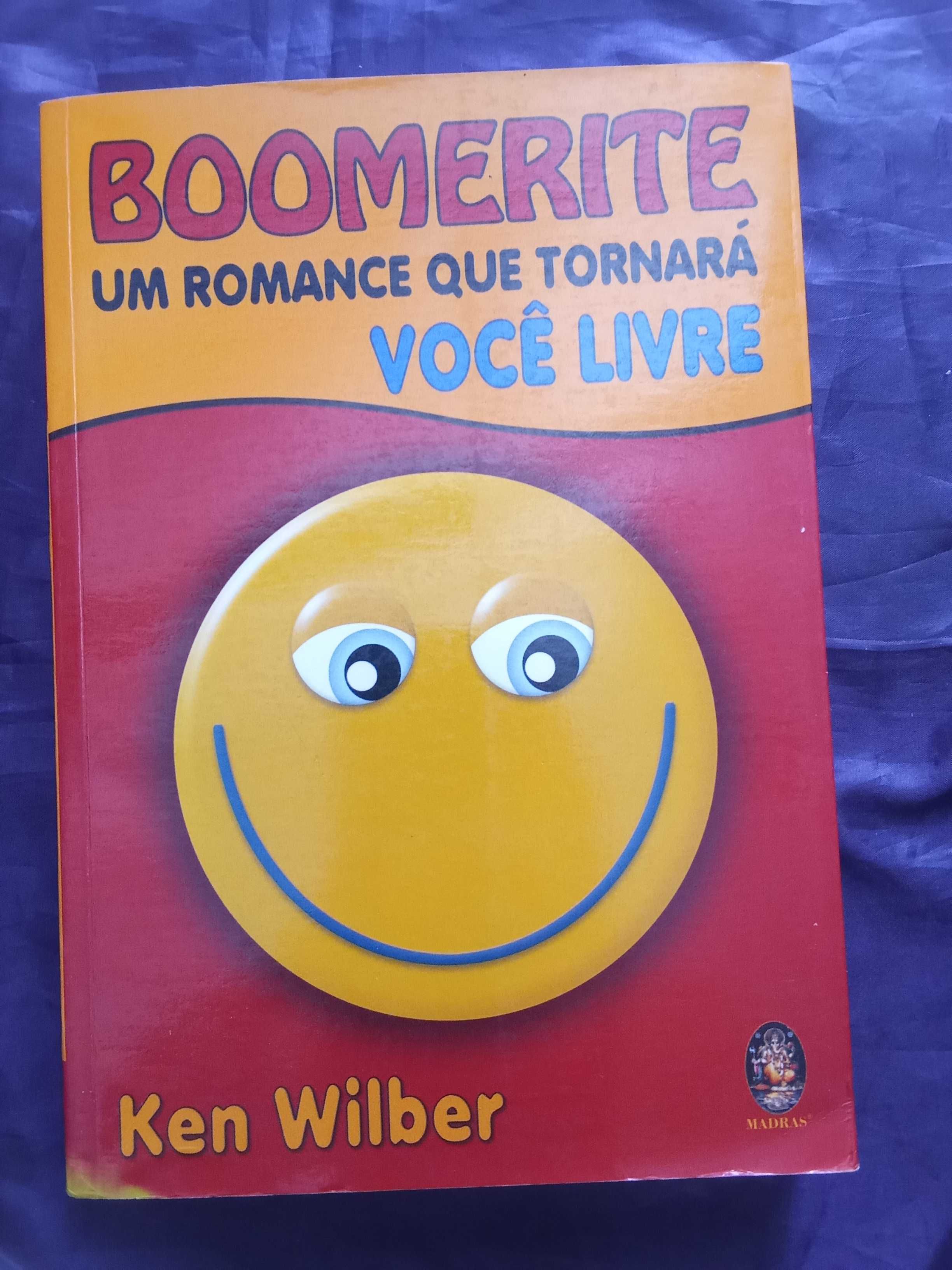 Boomerite - Ken Wilber