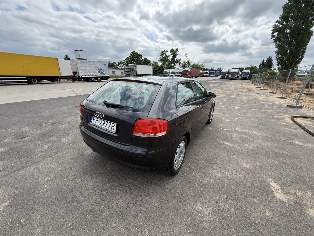 Audi A3 8P 2004r 1.6b