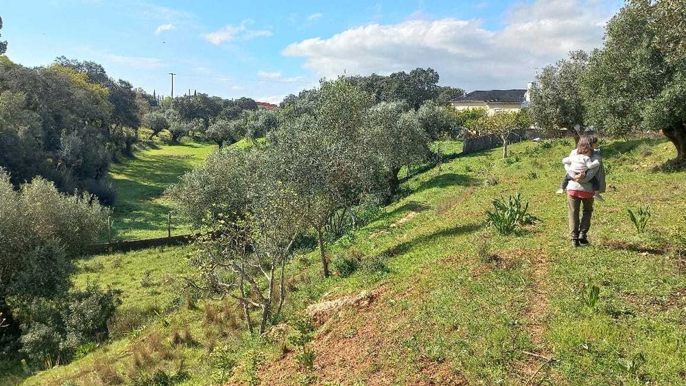 TERRENO COM Projeto de Construção Aprovado