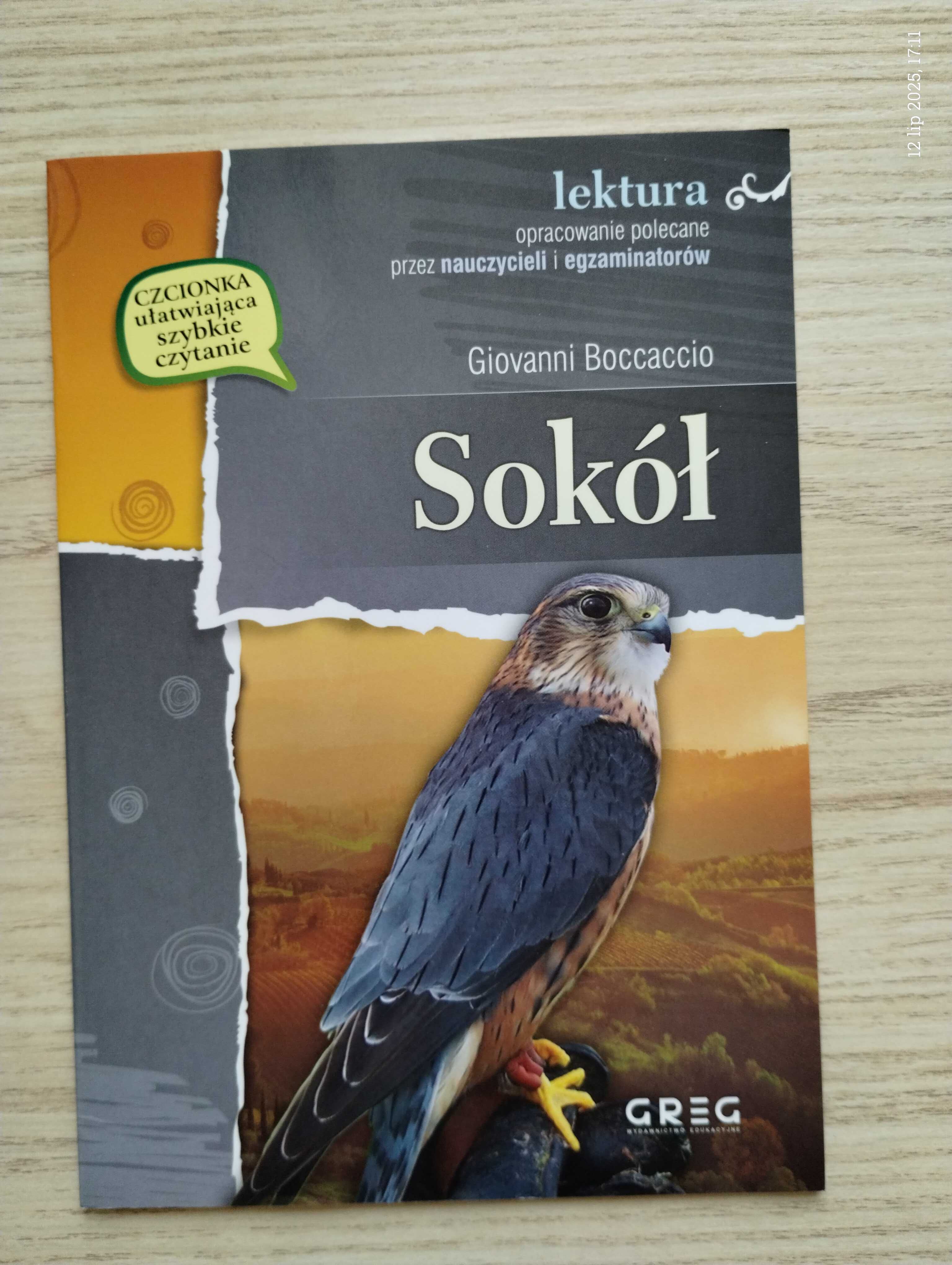 "Sokół" G. Boccaccio lektura z opracowaniem