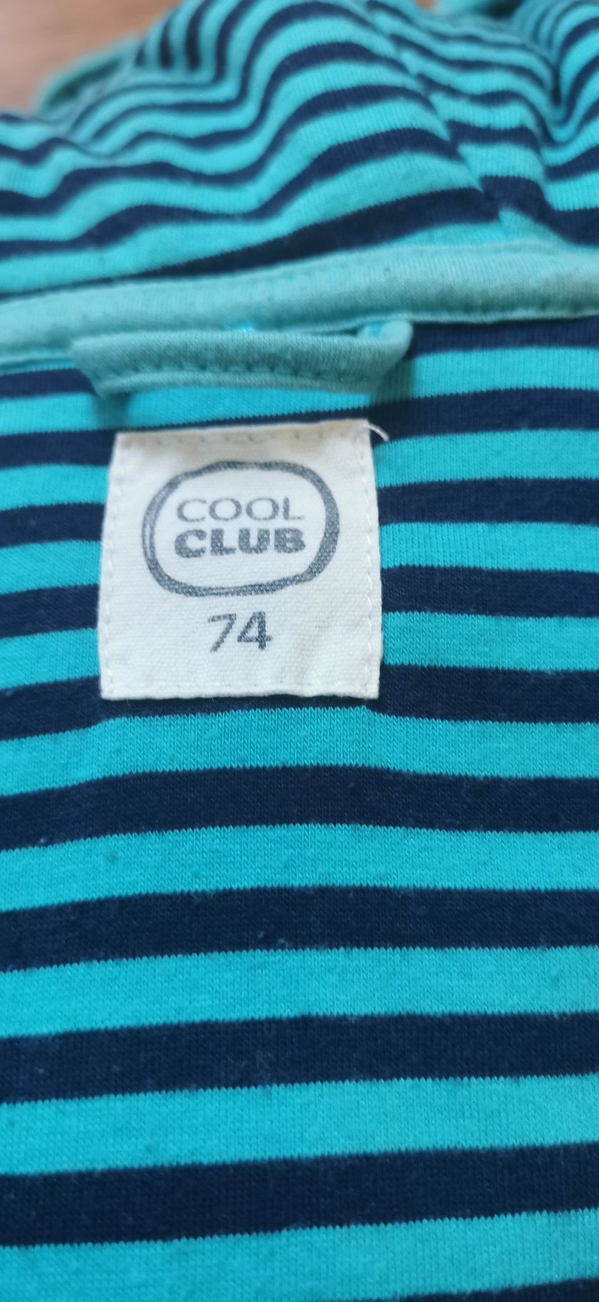 Bluza niemowlęca cool club rozmiar 74