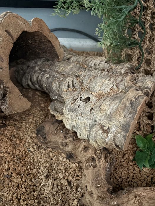 Terrarium dla gadów