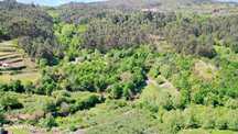 Quinta com moradia em pedra e terreno com 3 hectares em Celorico Basto