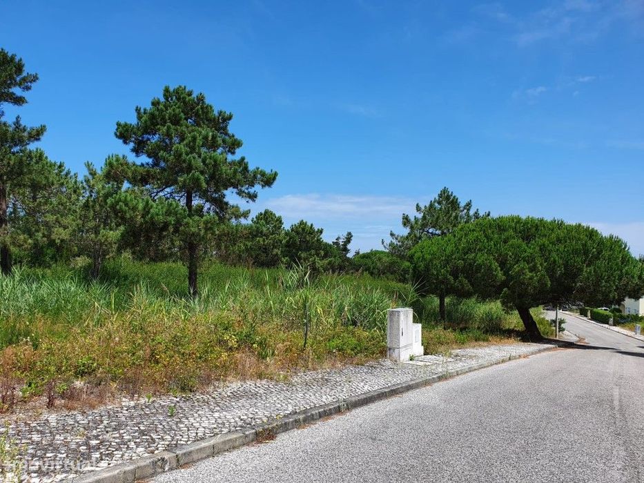 Magnífico Terreno na Pérola da Lagoa - Óbidos