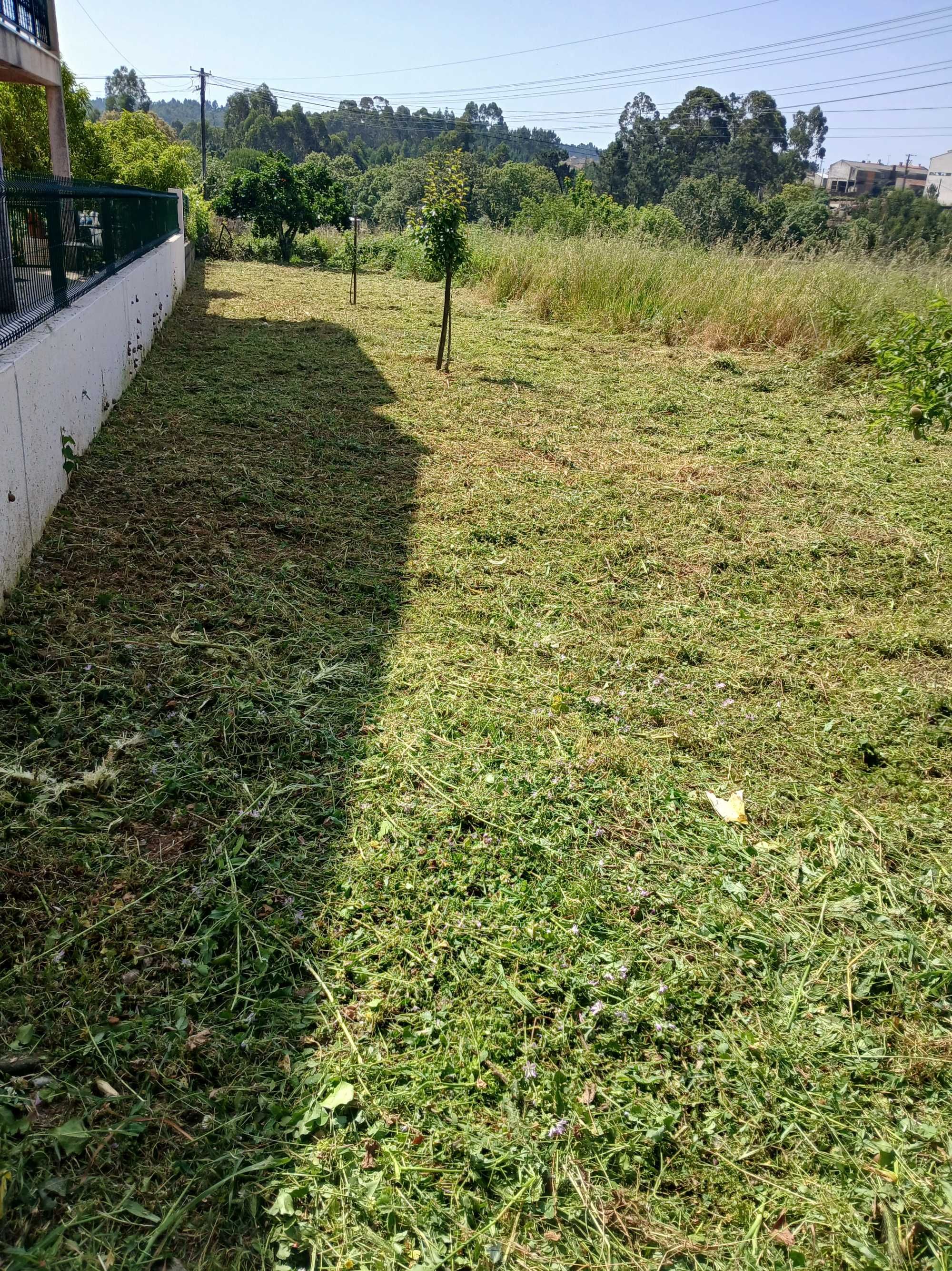 Limpesa de terrenos