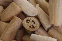 Sementes de luffa 4gr - 10 sementes