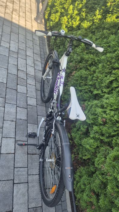 AKTUALNE rower Genesis dziewczęcy