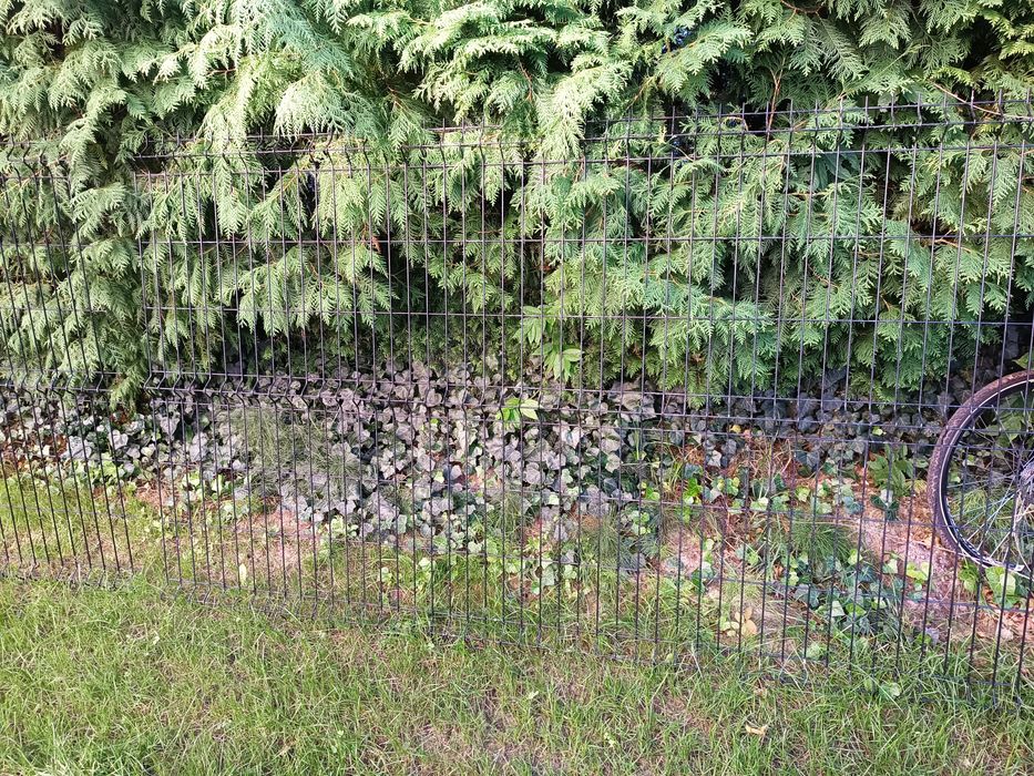 Przęsło ogrodzeniowe, Fi5, nowe