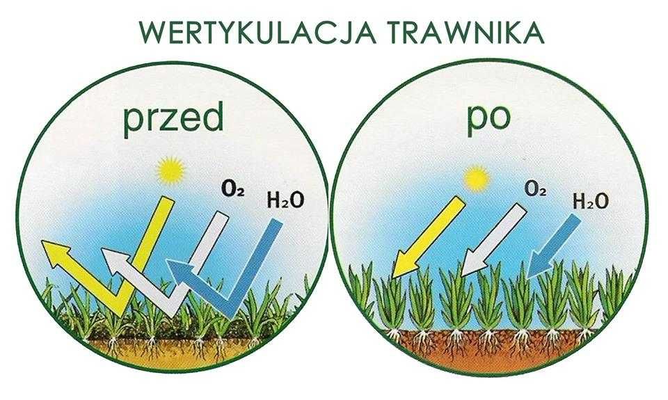 Wertykulator WEIBANG WB384RB  Wypożyczenie