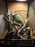 Terrarium dla Kameleona