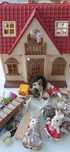 Coleçao Sylvanian Families