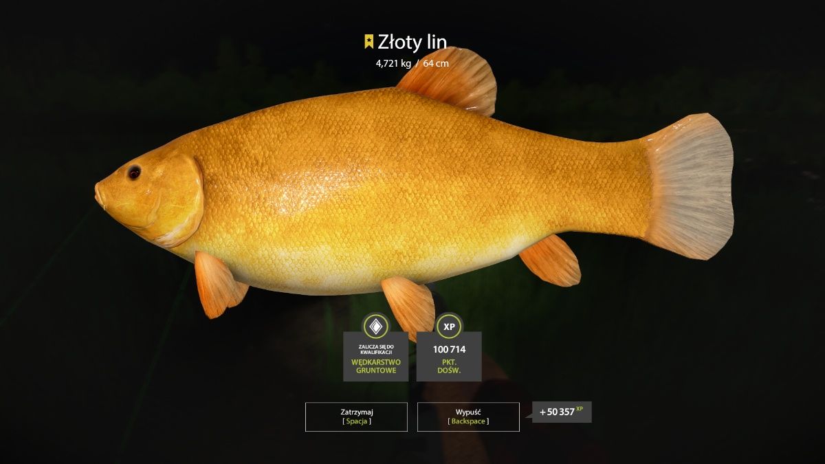 Karaś ozdobny, karp koi