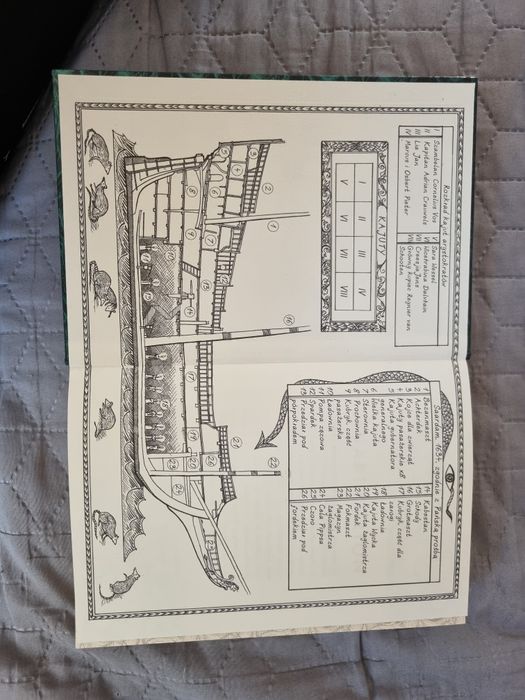 Stuart Turton Demon i mroczna toń