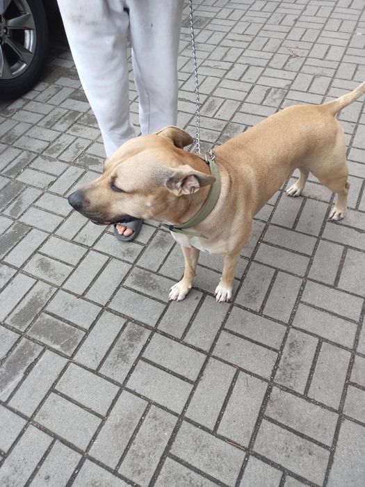 Шукаю дівчинку для в,зки