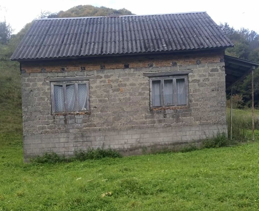 Продається будинок в с. Нижній Бистрий